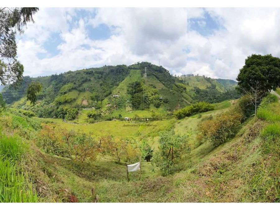 Lote en Venta - Santa Rosa de Cabal, Risaralda, 45218,0 m² (foto 5) — CREBI