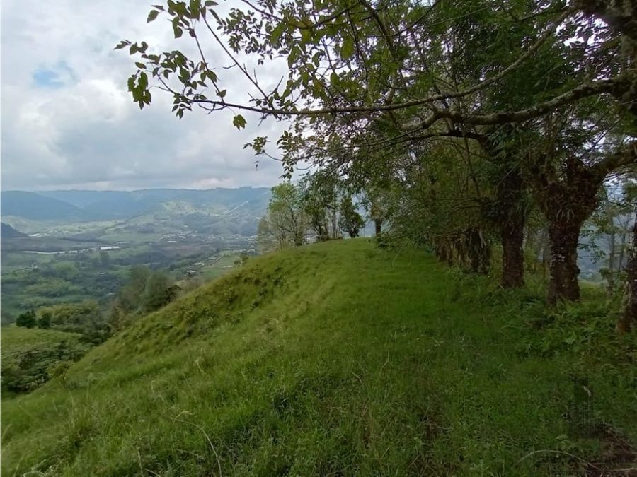 Hotel en Venta - A Cedralito, 500,0 m² (foto 6) — CREBI