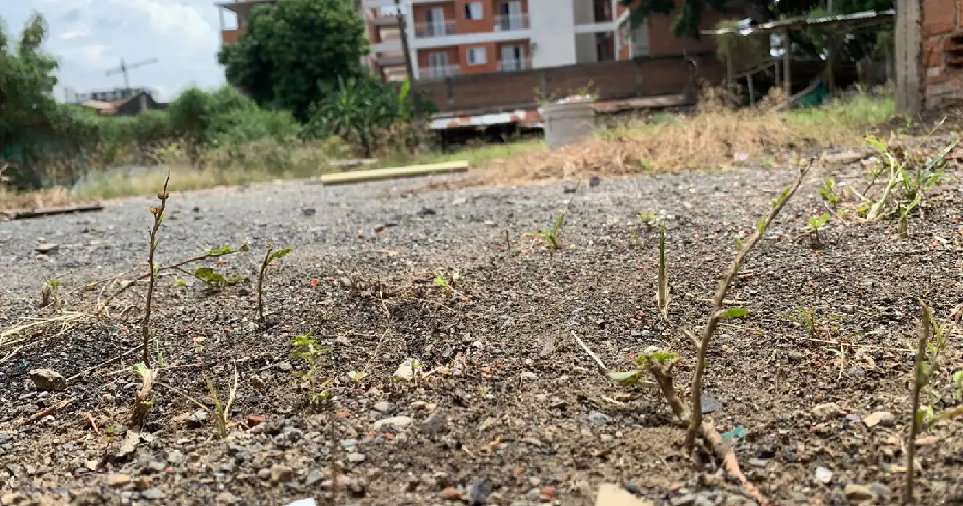 Lote en Venta - La Selva, Carrera 46B, 200,0 m² (foto 5) — CREBI
