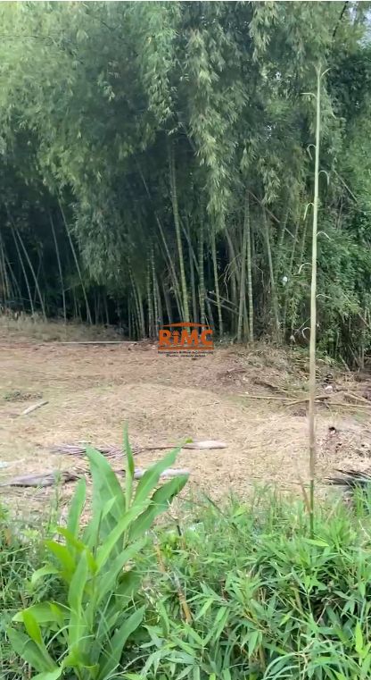 Lote en Venta - AMCO, Area Metropolitana Centro Occidente, Pereira, Risaralda, RAP Eje Cafetero, Colombia, 1700,0 m² (foto 2) — CREBI