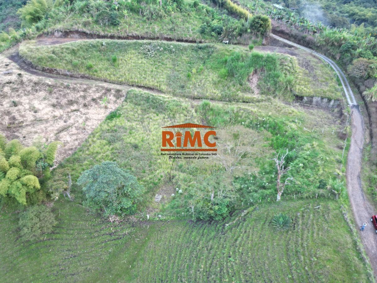 Lote en Venta - Caracol La Curva, Vía Pereira Armenia, 2784,0 m² (foto 3) — CREBI