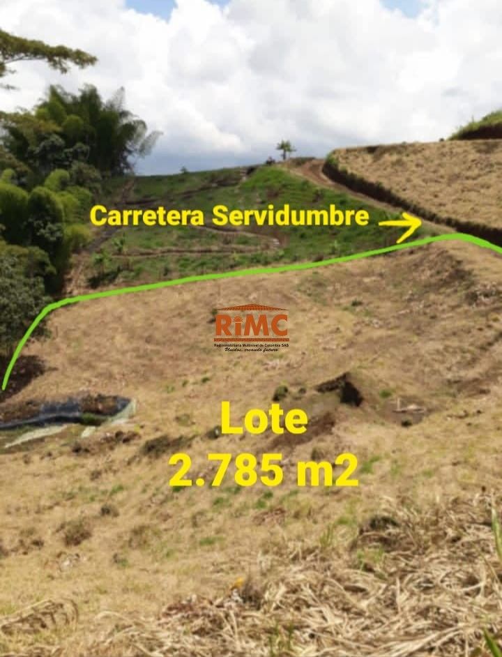 Lote en Venta - Caracol La Curva, Vía Pereira Armenia, 2784,0 m² (foto 4) — CREBI