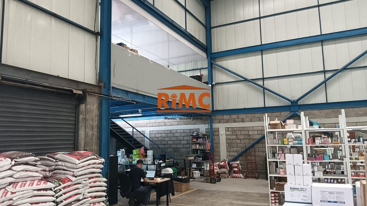 Bodega en Arriendo - Filo Bonito, Altagracia, Brisas del Condina, Pereira, Risaralda, RAP Eje Cafetero, 660008, Colombia, 640,0 m² (foto 5) — CREBI