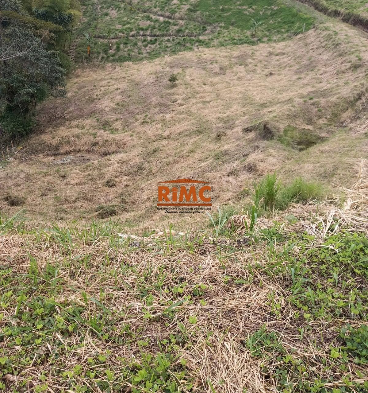 Lote en Venta - Caracol La Curva, Vía Pereira Armenia, 2784,0 m² (foto 7) — CREBI