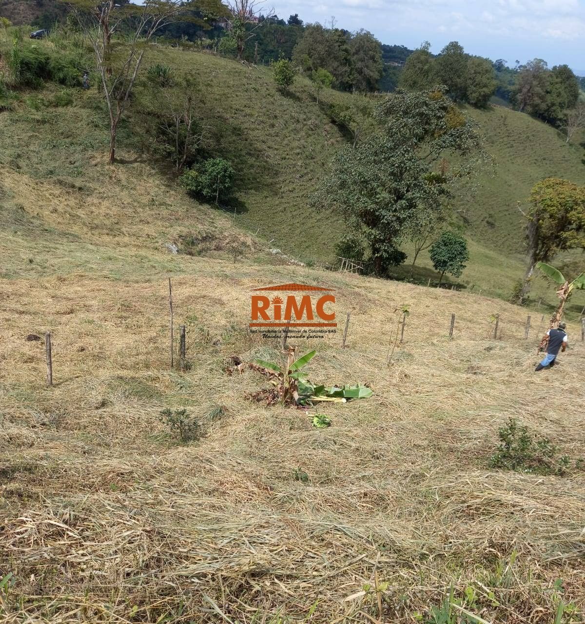 Lote en Venta - Caracol La Curva, Vía Pereira Armenia, 2784,0 m² (foto 8) — CREBI